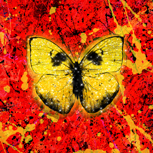 免费入口成人片
