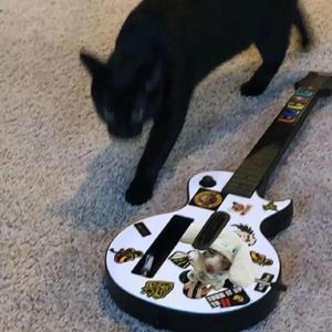 天堂在线91免费视频导航
