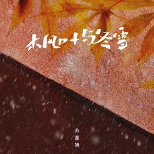 国产成人av大片
