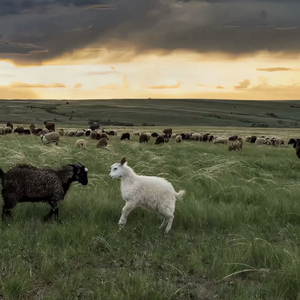 女同学裸睡我把她奶头摸硬了

