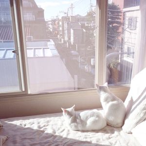 送妻子去农场配马当媳妇
