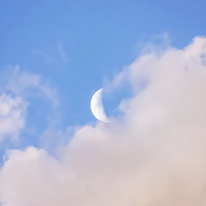 免费入口成人片
