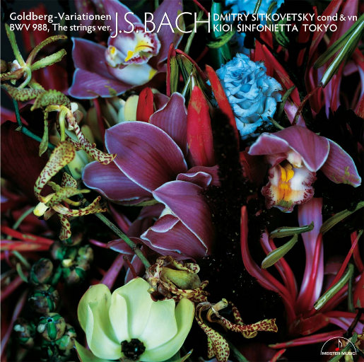 女人被猛男躁120分钟
